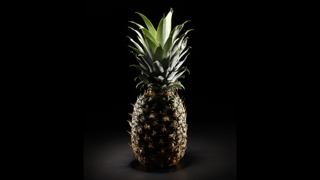Illustration for article titled Behold These Wonders From Afar: Pine Apples, The Edible Jewels Of The Orient